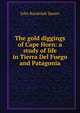 The gold diggings of Cape Horn: a study of life in Tierra Del Fuego and Patagonia, Spears, John Randolph 