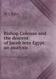 Bishop Colenso and the descent of Jacob into Egypt: an analysis, W J Spry 