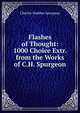 Flashes of Thought: 1000 Choice Extr. from the Works of C.H. Spurgeon, Charles Haddon Spurgeon 