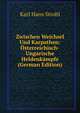 Zwischen Weichsel Und Karpathen: Osterreichisch-Ungarische Heldenkampfe (German Edition), Karl Hans Strobl 