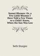 Sunset Rhymes: Or, a Few Little Rhymes I Have Told a Few Times to a Child I Know, When the Sun Was Low, Seth Sturges 