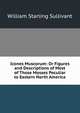 Icones Muscorum: Or Figures and Descriptions of Most of Those Mosses Peculiar to Eastern North America, William Starling Sullivant 