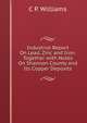 Industrial Report On Lead, Zinc and Iron: Together with Notes On Shannon County and Its Copper Deposits, C P. Williams 