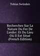 Recherches Sur La Nature Du Fer De L'enfer: Et Du Lieu O? Il Est Situ? (French Edition), Tobias Swinden 