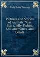 Pictures and Stories of Animals: Sea-Stars, Jelly-Fishes, Sea-Anemones, and Corals, Abby Amy Tenney 