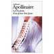 Exploits d'un jeune Don Juan, Apollinaire, Guillaume 