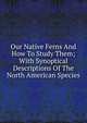 Our Native Ferns And How To Study Them; With Synoptical Descriptions Of The North American Species, 