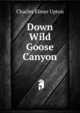 Down Wild Goose Canyon, Charles Elmer Upton 