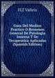 Guia Del Medico Practico O Resumen General De Patologia Interna T De Terapeutica Aplicadas (Spanish Edition), FLT Valleix 