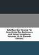Schriften Des Vereins Fur Geschichte Des Bodensees Und Seiner Umgebung, Volumes 15-16 (German Edition), 