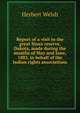 Report of a visit to the great Sioux reserve, Dakota, made during the months of May and June, 1883, in behalf of the Indian rights associations, Herbert Welsh 