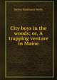 City boys in the woods; or, A trapping venture in Maine, Henry Parkhurst Wells 
