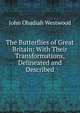 The Butterflies of Great Britain: With Their Transformations, Delineated and Described, Westwood,J. O. 