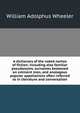 A dictionary of the noted names of fiction; including also familiar pseudonyms, surnames bestowed on eminent men, and analogous popular appellations often referred to in literature and conversation, William Adolphus Wheeler 