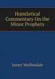 Homiletical Commentary On the Minor Prophets, James Wolfendale 
