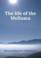 The life of the Mollusca, Bernard Barham Woodward 