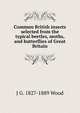 Common British insects selected from the typical beetles, moths, and butterflies of Great Britain, J G. 1827-1889 Wood 