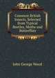 Common British Insects, Selected from Typical Beetles, Moths and Butterflies, Wood, J. G. (John George), 1827-1889 
