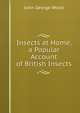 Insects at Home, a Popular Account of British Insects, Wood, J. G. (John George), 1827-1889 
