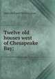 Twelve old houses west of Chesapeake Bay;, Addison Foard Worthington 