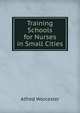 Training Schools for Nurses in Small Cities, Alfred Worcester 