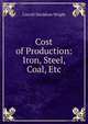 Cost of Production: Iron, Steel, Coal, Etc, Wright, Carroll Davidson, 1840-1909 