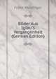 Bilder Aus Iglau'S Vergangenheit (German Edition), Franz Wurzinger 