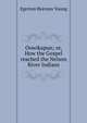 Oowikapun; or, How the Gospel reached the Nelson River Indians, Egerton Ryerson Young 