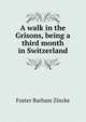 A walk in the Grisons, being a third month in Switzerland, Foster Barham Zincke 