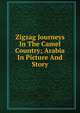 Zigzag Journeys In The Camel Country; Arabia In Picture And Story, 