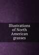 Illustrations of North American grasses, 
