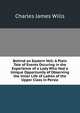 Behind an Eastern Veil: A Plain Tale of Events Occuring in the Experience of a Lady Who Had a Unique Opportunity of Observing the Inner Life of Ladies of the Upper Class in Persia, Charles James Wills 