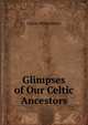 Glimpses of Our Celtic Ancestors, Edwin Wilmshurst 