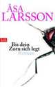 Bis dein Zorn sich legt, Larsson Aesa 