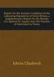 Report On the Sanitary Condition of the Labouring Population of Great Britain. a Supplementary Report On the Results of a Spiecal Sic Inquiry Into the Practice of Interment in Towns, Edwin Chadwick 