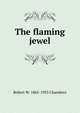 The flaming jewel, Robert W. 1865-1933 Chambers 