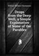 Drops from the Deep Well, a Simple Explanation of Some of the Parables, William Weldon Champneys 