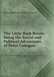 The Little Back Room: Being the Social and Political Adventures of Peter Cadogan, Edward Schuyler Chamberlayne 