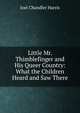 Little Mr. Thimblefinger and His Queer Country: What the Children Heard and Saw There, Harris, Joel Chandler, 1848-1908 