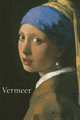 Vermeer: Mini, 