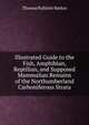 Illustrated Guide to the Fish, Amphibian, Reptilian, and Supposed Mammalian Remains of the Northumberland Carboniferous Strata, Thomas Pallister Barkas 