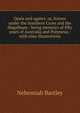 Opals and agates: or, Scenes under the Southern Cross and the Magelhans : being memoirs of fifty years of Australia and Polynesia : with nine illustrations, Nehemiah Bartley 