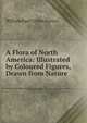 A Flora of North America: Illustrated by Coloured Figures, Drawn from Nature, William Paul Crillon Barton 