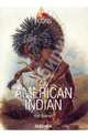 The American Indian, Bodmer Karl 