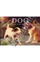 Dog: A dog's life in art and literature, Zaczek Iain 