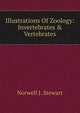 Illustrations Of Zoology: Invertebrates & Vertebrates, Norwell J. Stewart 