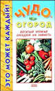 Чудо-огород, Страга Борис 