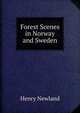 Forest Scenes in Norway and Sweden, Henry Newland 