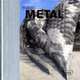 Magic Metal: Buildings of Steel, Aluminum, Copper, and Tin, Meyhofer, Dirk 