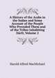 A History of the Arabs in the Sudan and Some Account of the People Who Preceded Them and of the Tribes Inhabiting Darfr, Volume 2, Harold Alfred MacMichael 